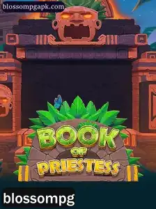 Descubra o Envolvente Mundo de 'BookOfPriestess': Um Jogo de Estratégia Inovador